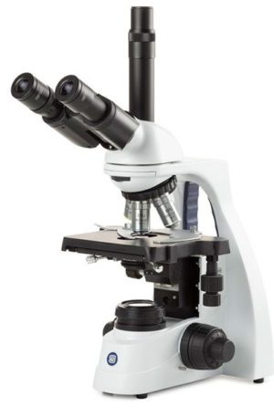 Microscopio Vertical bscope