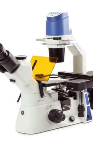 Microscopio Oxion Inverso