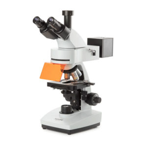 Microscopio Serie B+ para Epi-fluorescencia