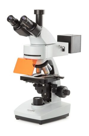 Microscopio Serie B+ para Epi-fluorescencia