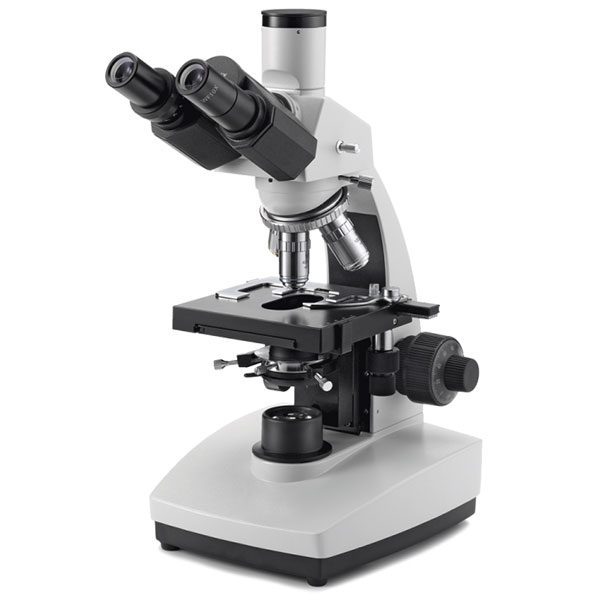 Microscopio Series B y B+