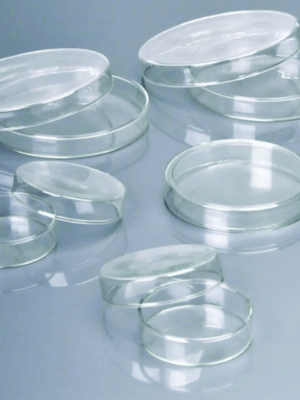 caja petri de cristal fabricada en borosilicato 3.3 de 90 x 18 mm