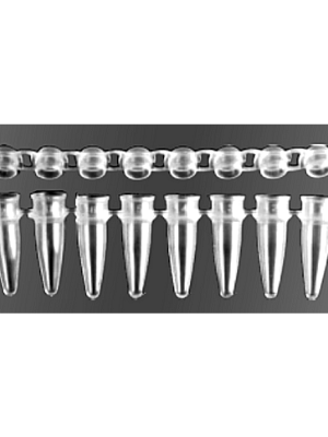 tira conica de 8 tubos con tapa para PCR